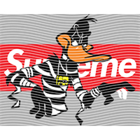 Brand Catalog-ZX 998